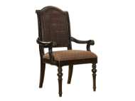 Picture of ISLA VERDE ARM CHAIR