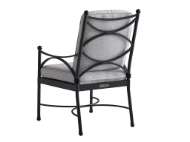 Picture of DINING CHAIR