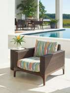 Picture of LOUNGE CHAIR