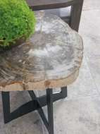 Picture of PETRIFIED WOOD TABLE