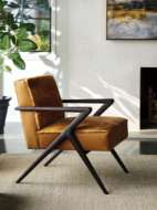 Picture of TANZANIA LEATHER CHAIR