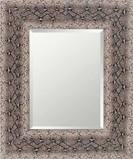 Picture of PYTHON MIRROR