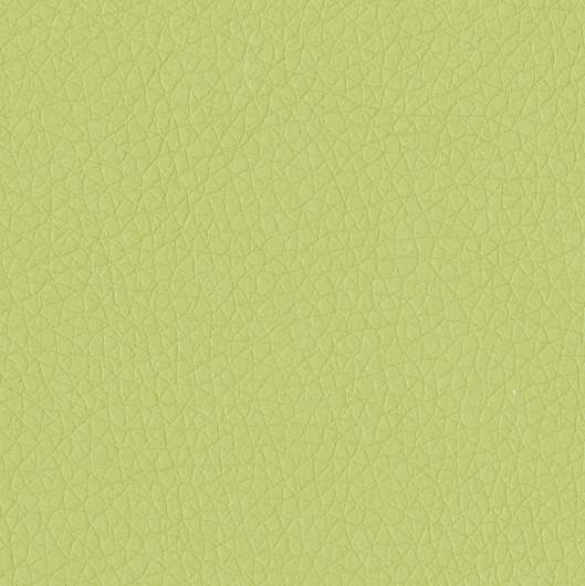 Picture of APPLE GREEN