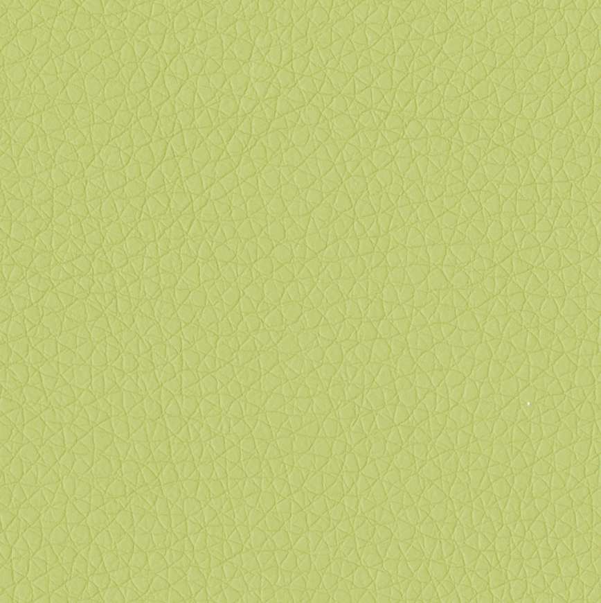 Picture of APPLE GREEN