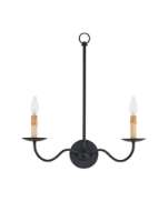 Picture of SAXON DOUBLE-LIGHT BLACK WALL SCONCE