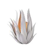 Picture of AGAVE WALL SCONCE