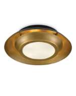 Picture of METAPHOR BLACK & BRASS FLUSH MOUNT