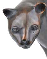 Picture of CHEETAH BRONZE