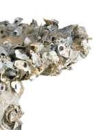 Picture of OYSTER SHELL LARGE BIRD BATH