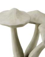 Picture of CONCRETE MUSHROOMS