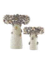 Picture of OYSTER SHELL MEDIUM BIRD BATH