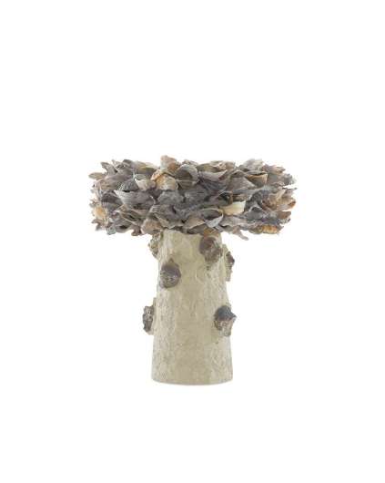 Picture of OYSTER SHELL SMALL BIRD BATH