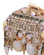 Picture of BOARDWALK NATURAL SHELL JEWELRY BOX