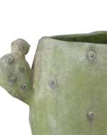 Picture of CACTUS VASE SET OF 3