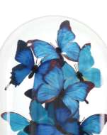 Picture of RUE DE BAC MEDIUM BUTTERFLIES