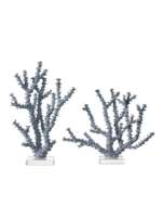 Picture of BLUE CORAL SET OF 2