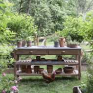 Picture of ORCHARD TABLE