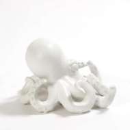 Picture of OCTOPUS-WHITE