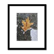 Picture of LEN PRINCE PHOTOGRAPHY-LEAF SERIES