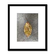 Picture of LEN PRINCE PHOTOGRAPHY-LEAF SERIES