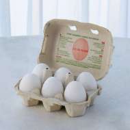 Picture of S/6 ALABASTER EGGS-WHITE