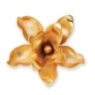 Picture of MAGNOLIA FLOWER WALL DECOR