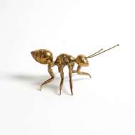 Picture of PHAROAH ANTS-ANTIQUE BRASS