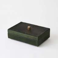 Picture of POSH BOXES-HAIR-ON-HIDE GREEN