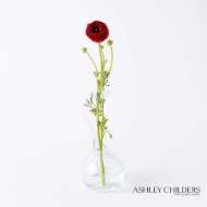 Picture of CLEAR RING FLOWER VASE