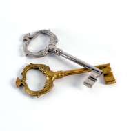 Picture of DOUBLE DOLPHIN KEY-BRASS