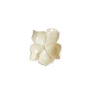 Picture of MAGNOLIA PLATTER-IVORY