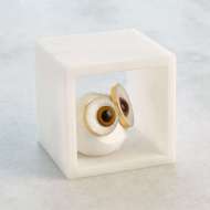 Picture of ALABASTER BIG EYED OWL IN CUBE