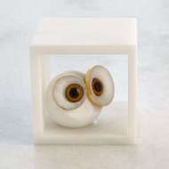 Picture of ALABASTER BIG EYED OWL IN CUBE