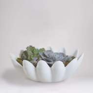 Picture of GINGER LEAF BOWL