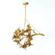 Picture of ALBIZIA CHANDELIER