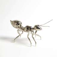 Picture of PHAROAH ANT-ANTIQUE NICKEL