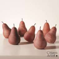 Picture of POIRE