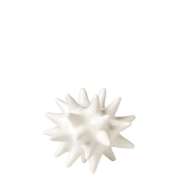 Picture of URCHIN-WHITE