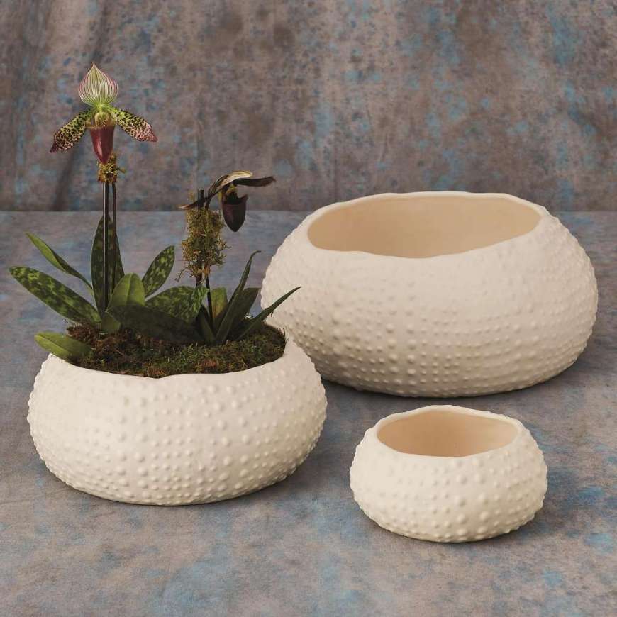 Picture of CERAMIC URCHIN BOWL-MATTE WHITE