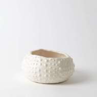 Picture of CERAMIC URCHIN BOWL-MATTE WHITE