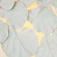 Picture of FIDDLE FIG LIGHTED WALL DECOR-WHITE