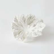 Picture of VOLCANO FLOWERS-WHITE