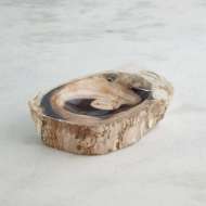 Picture of PETRIFIED BOWLS