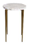 Picture of FOSSIL TOP ACCENT TABLE (SH07-123118)   