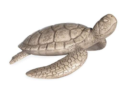 Picture of SHELLDON TORTOISE ACCESSORY GREY WASH   