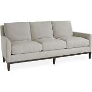 Picture of SOFA        