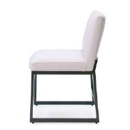 Picture of INES IRON SIDE CHAIR