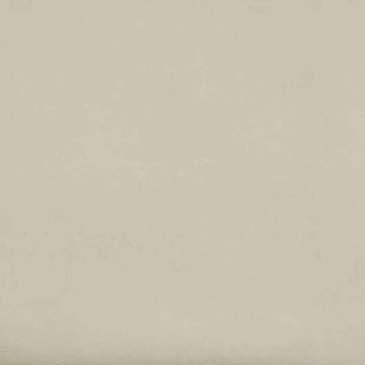 Picture of TORAY ULTRASUEDE BEIGE