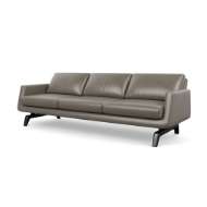 Picture of NASH SOFA