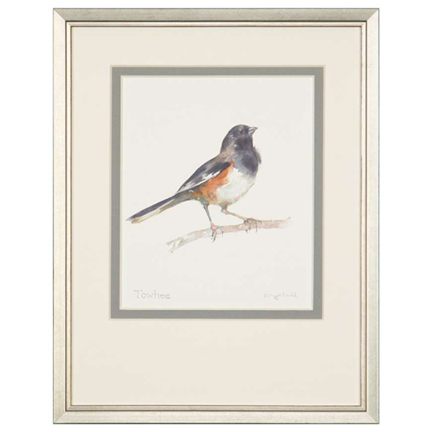 Picture of TOWHEE